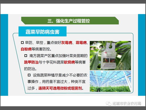 新型冠狀病毒感染肺炎疫情防控期間農(nóng)產(chǎn)品生產(chǎn)經(jīng)營者質(zhì)量安全操作指南